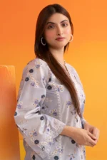 Embroidered Kurta Trouser - 2595 - Image 4