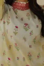 Shirt Shalwar - 0101 - Image 5