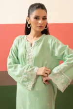 Embroidered Kurta Trouser - 2510 - Image 6