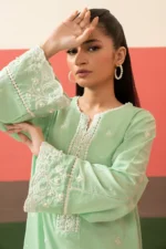 Embroidered Kurta Trouser - 2510 - Image 7