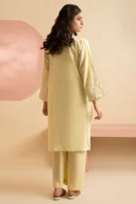 Embroidered Kurta Trouser - 2564 - Image 9